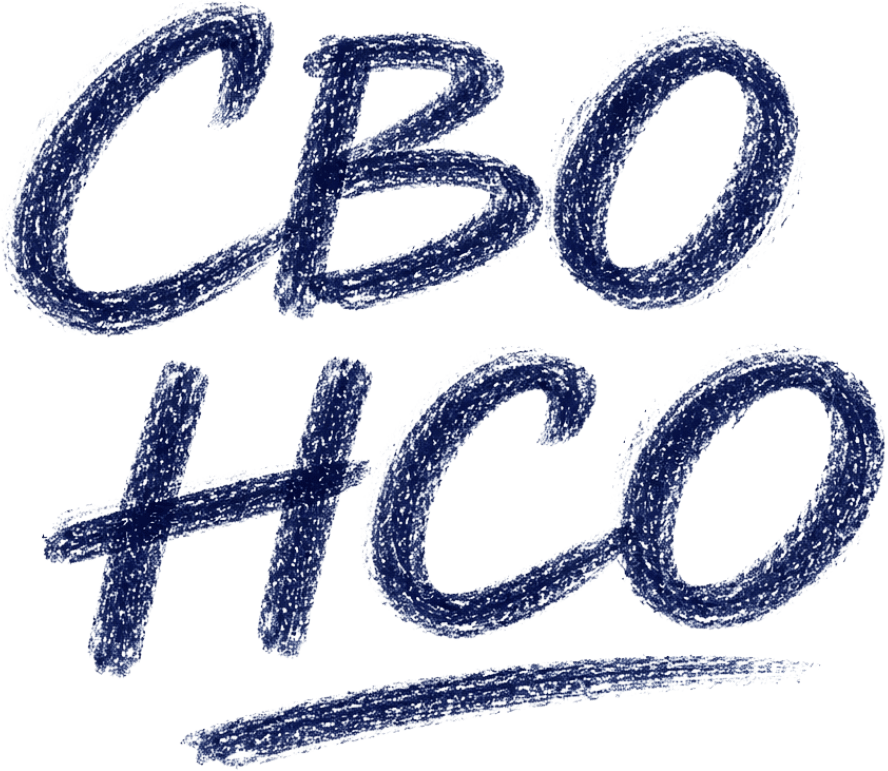 СВО НСО